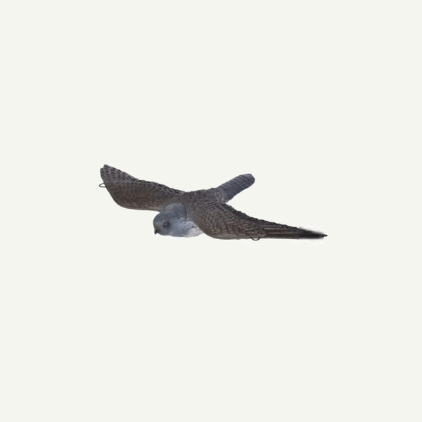 BEARPAW 3D-ZIEL FRANZBOGEN FLIEGENDER FALKE
