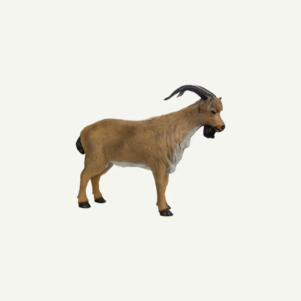 BEARPAW 3D-ZIEL FRANZBOGEN MOUNTAIN GOAT