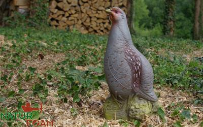 NATUR FOAM 3D TARGET PATRIDGE - RISING