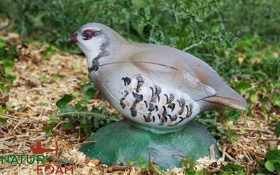 NATUR FOAM 3D TARGET BARTAVELLE