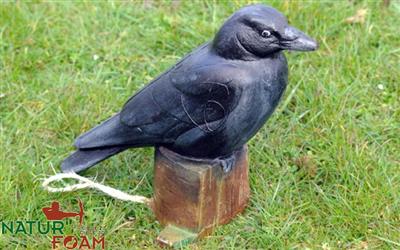 NATUR FOAM 3D TARGET RAVEN