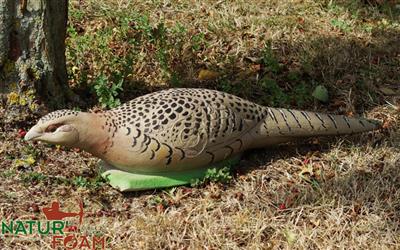 NATUR FOAM 3D TARGET PHEASANT - HEN