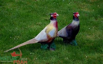 NATUR FOAM 3D TARGET PHEASANT