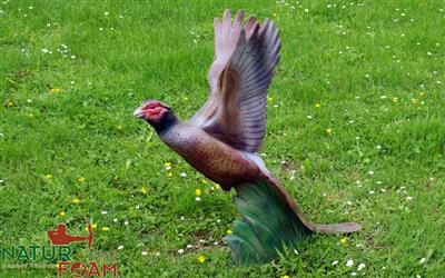 NATUR FOAM 3D TARGET PHEASANT - SOARING