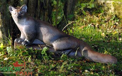 NATUR FOAM 3D TARGET MARTEN