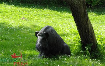 NATUR FOAM 3D-Ziel Wildschwein - sitzend