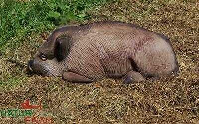 NATUR FOAM 3D-Ziel Wildschwein - liegend