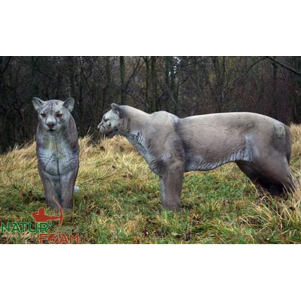 NATUR FOAM 3D-Ziel Puma - stehend