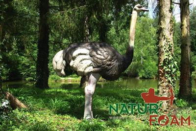 NATUR FOAM 3D TARGET OSTRICH