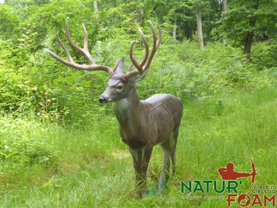 NATUR FOAM 3D-Ziel Weisswedelhirsch