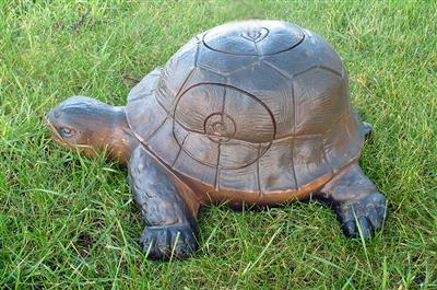 WILD LIFE 3D-ZIEL SCHILDKRÖTE / TARTARUGA - DIM:21x47x40CM GROUP 4