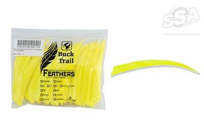 BUCKTRAIL FEDERN SHIELD 5" RW 100/PK