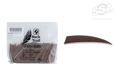 BUCKTRAIL FEDERN SHIELD 3" LW 100/PK