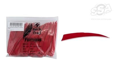 BUCKTRAIL FEDERN SHIELD 5" LW 100/PK