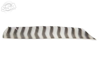 BUCKTRAIL FEDERN VOLLE LAENGE LW BARRED 100/PK