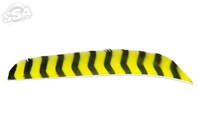 BUCKTRAIL FEDERN VOLLE LAENGE RW BARRED 100/PK