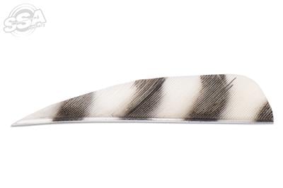 BUCKTRAIL FEDERN ROUND 3" RW BARRED 100/PK