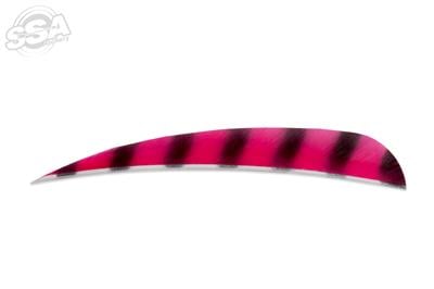 BUCKTRAIL FEDERN ROUND 5" RW BARRED 100/PK