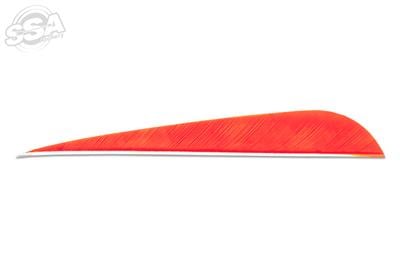 SKYLON FEATHERS ROUND 5" RW 24/PK