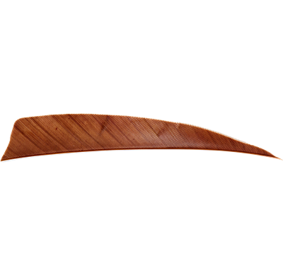 AVALON FEDERN SHIELD 3" RW 50/PK