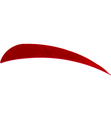 AVALON FEDERN ROUND 4" RW 50/PK