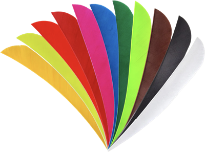 BEARPAW Feder PARABOLIC 4″ RW 50/PK