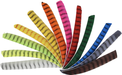 BEARPAW Vollfeder Volllänge, LW, Barred 50/PK