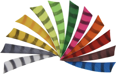 BEARPAW Feder Shield 4″ RW mit Querstreben 50/PK