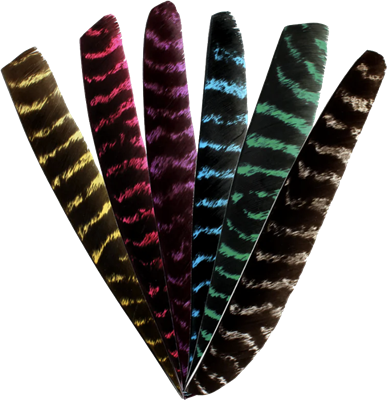 BEARPAW FEDER GANZE LÄNGE, LEICHT, NATÜRLICH Barred 50/PK