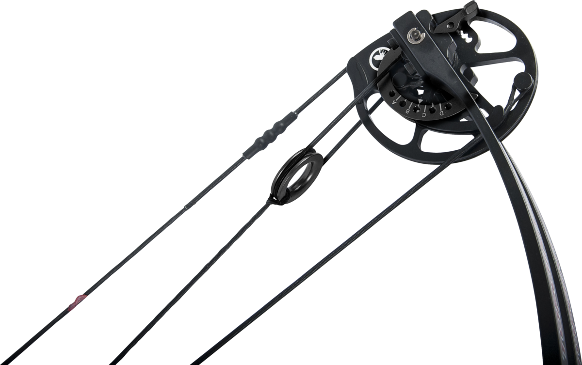 TOPOINT Compoundbogen Pro Reliance 36 RH – Bild 5